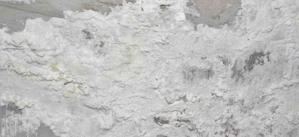 Efflorescence & Mottling